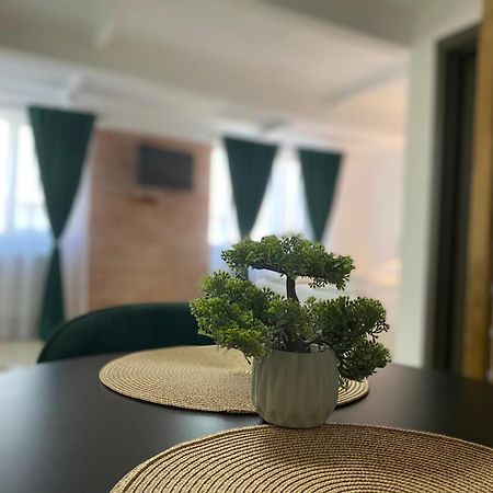Wonderland Apartment Bistriţa Eksteriør billede
